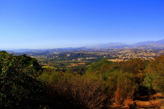 Am späteren Nachmittag fahren wir mit dem Ziel "Pismo Beach" durch die oben sichtbare Landschaft los. 
Dort befindet sich der einzige Platz an der Westküste am Strand, wo man legal campen dürfte. Nur leider empfiehlt der Herr wärmstens einen 4x4 Antrieb zu haben, worauf wir es dann doch sein lassen (steckten bereits in Fuerteventura einmal im Sand fest und das reicht uns) und weiter fahren.