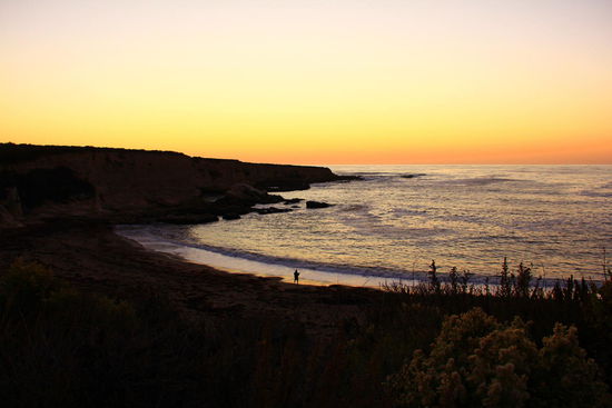 Nur leider sind wir ein bisschen vom Pech verfolgt- jeder von uns angesteuerte Campingplatz ist voll!!! Genervt fahren wir etwa 3h umher (mehr oder weniger vor dem Ort Morro Bay). Weder Campingplatz noch öffentlicher Parkplatz finden wir zum Übernachten. Überall sind die doofen Verbotsschilder. Schlussendlich nehmen wir im Dunkeln ein Motel und zahlen 100.- pro Zimmer!! 