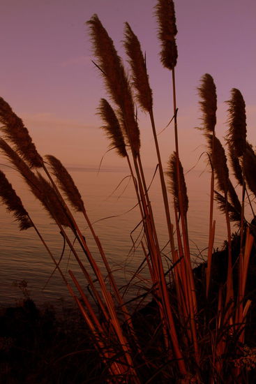 Tolle Morgenstimmung