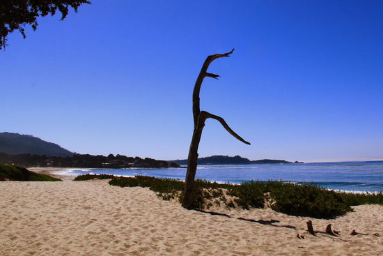 Sünnele am Carmel Beach