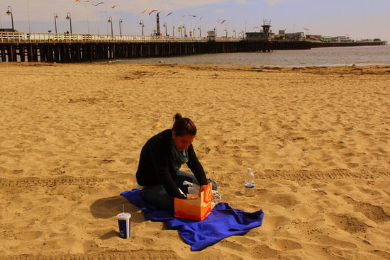 Mh, mexikanisches Picknick- Mittagessen 