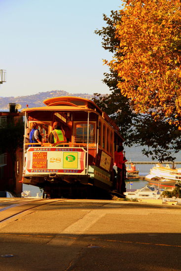 Wie man sehen kann, ist San Francisco auch berühmt für seine Hügel, die ab dreißig Metern Höhe "Hill" genannt werden. ( Im gesamten Stadtgebiet gibt es zweiundvierzig!). 
Die berühmte San Fran Cable Cars wurden 1870 entwickelt, um die sehr steilen Straßen zu überwinden...iiih, sie stürzt
