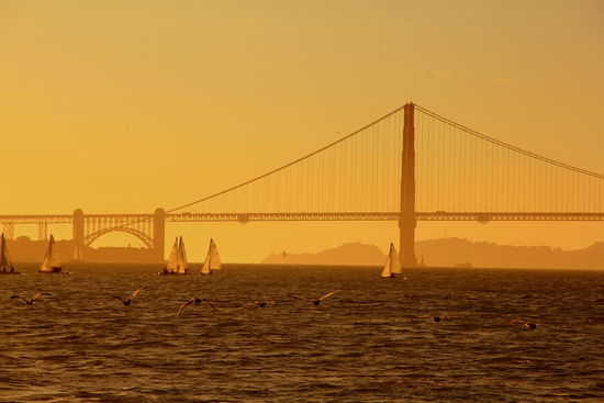 Tolle Ausblicke von unserer Bootstour. Und die Brücke liegt an keinem unserer 3 Besuchstage im sonst typischen San Francisco Nebel!