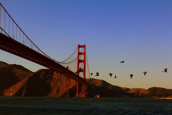 Die Golden Gate Bridge war 27 Jahre lang bis im Jahr 1964 die längste Hängebrücke der Welt, im Jahr 2013 steht sie an elfter Stelle. Der ganze Brückenzug ist inklusive der Zufahrtsbrücken 2737 Meter lang. 
Auch wenn sie heute an 11. Stelle stehen soll - sie ist gigantisch!!!