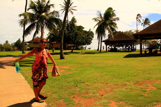 It`s time for lunch...at the beach! 