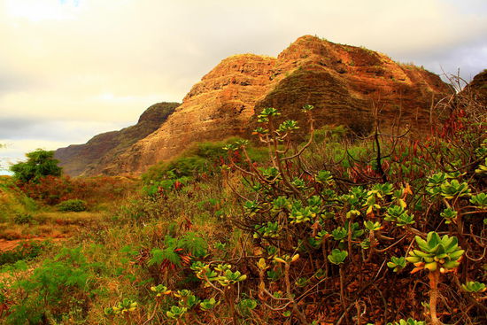 Auf dem Weg zum Strand im äußersten Westen...Weiter führt die Straße nicht und hierher gerät man nur über einen ungeteerten Weg. 4x4 wird EIGENTLICH geraten 