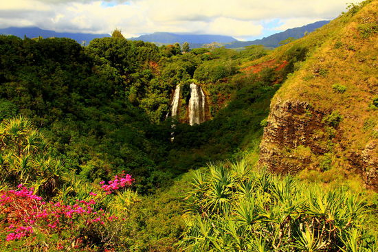 Opaekaa Falls
Der Übername "Garteninsel" trifft es definitiv