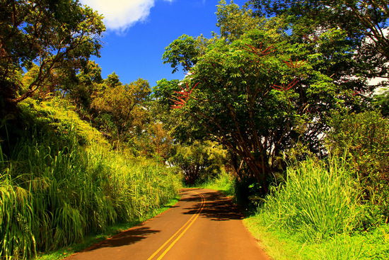 Autofahren macht richtig Spaß in dieser Umgebung 