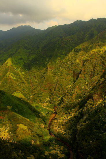 Wir fliegen teilweise ziemlich tief, wodurch man sich durch die hohen grünen Wände links und rechts wirklich mittendrin fühlt und ja auch ist 