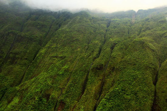 Seht ihr die dutzenden schmalen Wasserfälle? 
Wir befinden uns hier am 1569m hohen Mt. Waialeale, welcher nach Angaben des Fremdenverkehrsamt von Hawaii den Rekord als regenreichster Punkt der ganzen Erde hält!!!
Im Krater des Berges regnet es tagsüber fast ständig und in der Nacht sehr oft.
Durchschnittlich 12`340mm Niederschlag im Jahr.