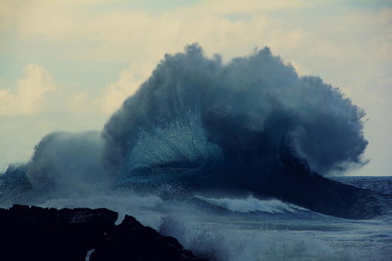 Wir trauen unseren Augen fast nicht!