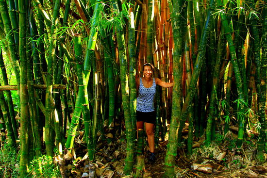 Zwischendurch sind Bambuswälder zu bestaunen