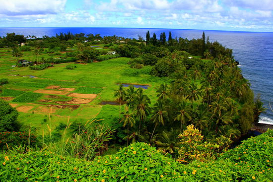 Auf dieser Halbinsel befindet sich das Dorf Keanae, dessen Bewohner meist vom Taro - Anbau leben. Es handelt sich um eines der letzten Dörfer der gesamten Inselkette, das noch im Besitz von Hawaiianern ist.