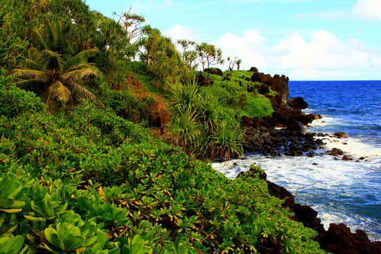 Die Farbkontraste gefallen uns sehr!