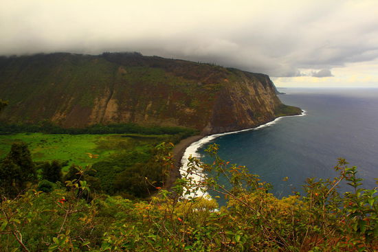 Waipio Valley: 1946 wurde dieses Tal von einer Welle zerstört, viele Familien mussten umziehen - heute wird wieder Taro angepflanzt und Poi produziert.
