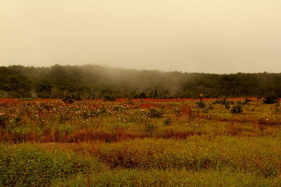 Man merkt, dass man auf vulkanischem Boden unterwegs ist...