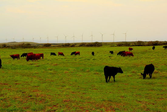 Auf der Fahrt an den südlichsten Punkt der USA kommen wir uns eher vor wie vielleicht in Norddeutschland od. so 