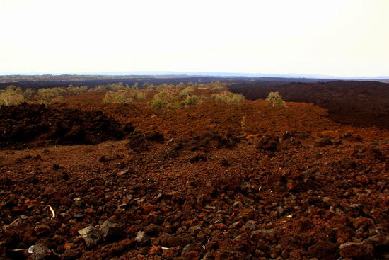 Hier sieht man die verschiedenen Farben der Lava gut - die dunkle floss 1907, während die hellere auf 750 - 1500 Jahre geschätzt wird.
