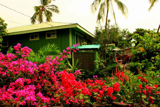 Gewohnt wird häufig im üppigen Grün sowie den schönen Blumen