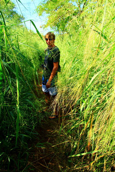 So haben wir diesen "Geheimweg" entdeckt, welcher von ganz oben der Straße runter bis an die Bucht führen soll. Wir gehen und gehen abwärts...
