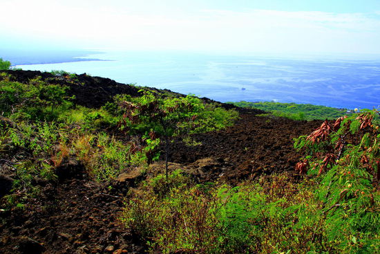 Nach 45min. sind wir erst hier und wir schätzen den weiteren Weg zur Bucht noch auf mindestens 1,5h Gehzeit in der Hitze! Soooo eine dumme Idee 