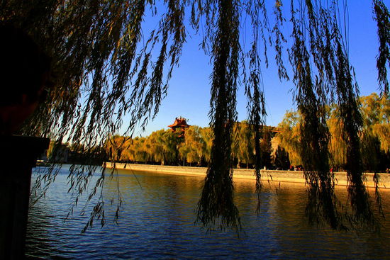 In einem der zahlreichen Parks, wessen Name wir vergessen haben...