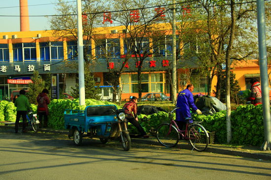 Kohl in Unmengen am Straßenrand