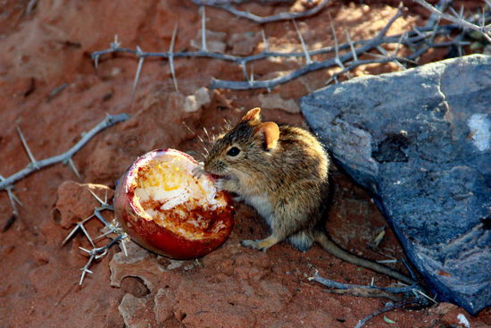 Einfach nur "jööö". Hätte stundenlang zusehen können