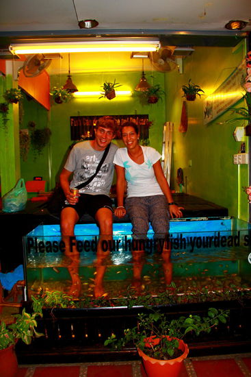 Haben uns bei unserem letzten Thailandaufenthalt davon fern gehalten- jetzt mussten wir die "Fischmassage" doch mal ausprobieren (sie essen die abgestorbenen Hautzellen, soll gut für die Durchblutung sein)
War schon fast peinlich, wie wir die Füße kaum reinhalten konnten und "gugeleten" wie kleine Kinder, weil es so gekitzelt hat 