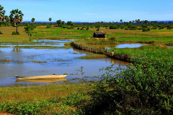Wir fahren durch wirklich wunderschöne Umgebung - Kambodschas Landschaft gefällt uns extrem gut!