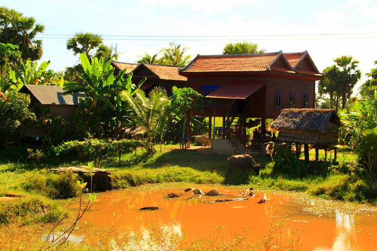 Hier sind wir am nächsten Tag im Car (im Preis inkl. ist Morgenessen, Erfrischungstüchlein, Wasser und sogar Wi- Fi!) unterwegs nach Phnom Penh, Hauptstadt