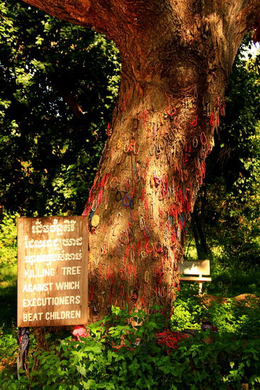 Dies war der schrecklichste Anblick: An diesem Baum wurden Kinder mit den Köpfen totgeschlagen!!! Gleich daneben befindet sich das Massengrab