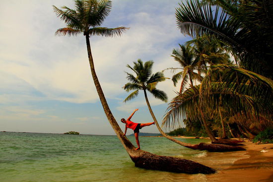 Traumhaft mit diesen Palmen