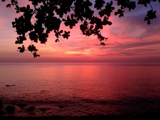 Natelbild, deshalb die Qualität...