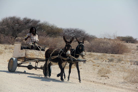 Heute fahren wir teilweise an ärmeren Siedlungen vorbei...Am Straßenrand präsentieren viele Kinder ihre schönen gebastelten Gegenstände zum Verkauf