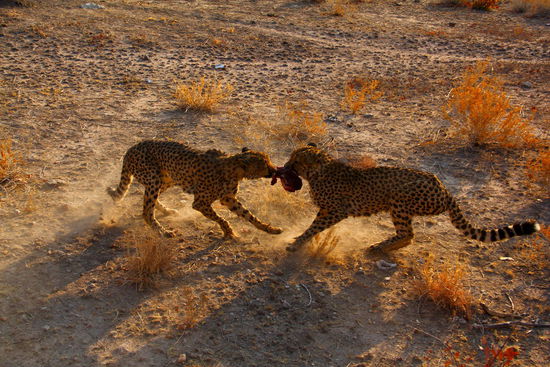 "Make love, don`t fight, lets....."  *singsong*