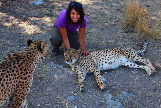 So eine Katze hätten wir auch gerne zu Hause 