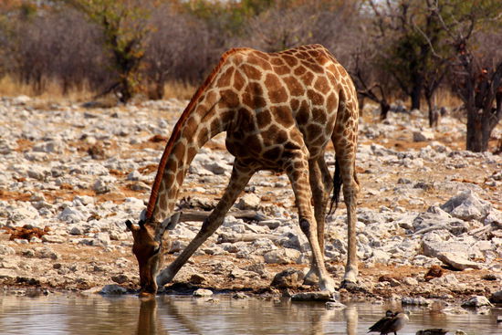 Muss das anstrengend sein 