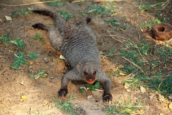 Ist doch wunderbar in Pose, nicht?