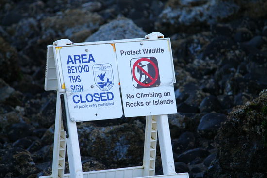 Näher geht es an die Felsen nicht heran, hier ist eine Schutzzone für die Meeresbewohner