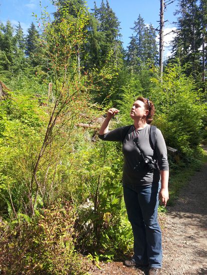 Lecker, diese roten Beeren. Wie auch immer sie wohl heißen mögen