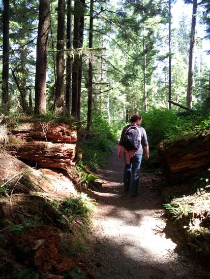 Eine schöne Waldwanderung