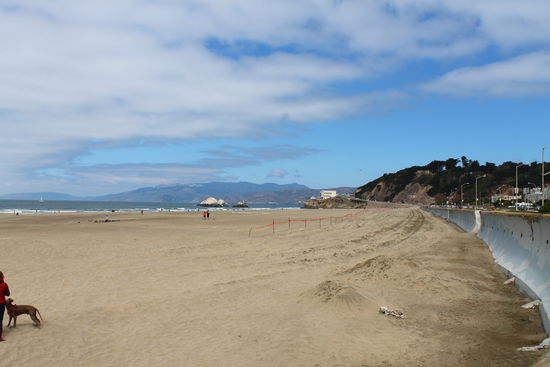 Überall an den Stränden sieht man eine Menge Hunde. Was mich meinen eigenen schmerzlich vermissen lässt