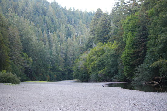 In diesem beinahe urwüchsigen Flussbett inmitten riesiger Bäume steht - eine Satellitenschüssel!