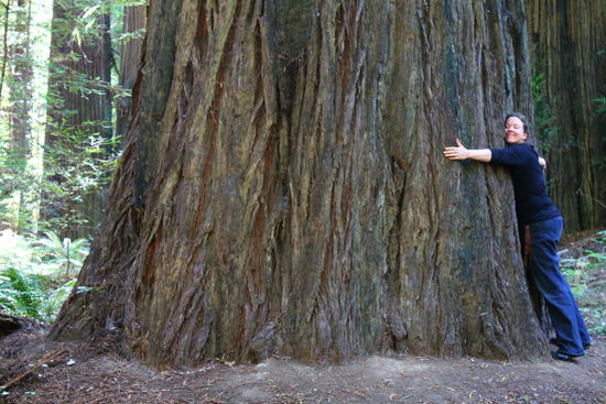 Was sind wir Menschen doch für Winzlinge neben diesen Giganten!