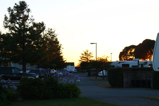 Kleine Campervans wie unseren Pedro findet man hier nicht, nur die großen Häuser auf Rädern