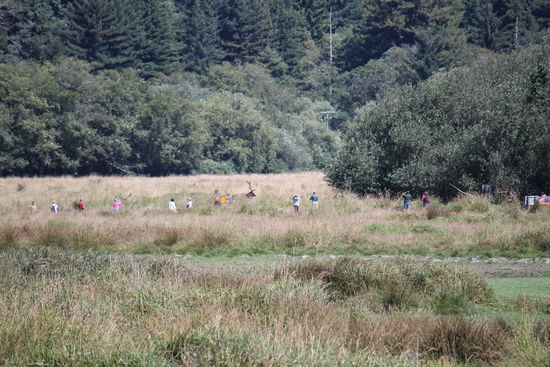 Das große Tier lässt sich von den Touristen nicht beeindrucken