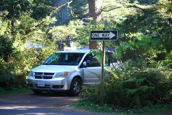 Tiniest campsite ever!