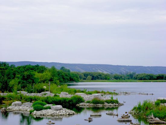 Die Blue Mountains. Mir wird langsam klar, warum sie blue sein sollen, als Berge gehen sie aber nicht durch... es sind dann wohl doch eher Hügel.