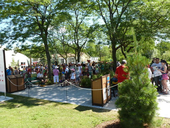 Anstehen für die Pandas. Da kann man die quengelnden Kinder durchaus verstehen...